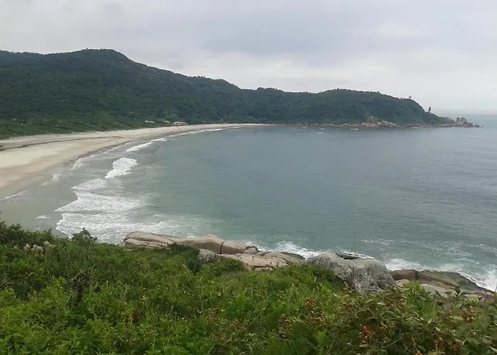 Ape Floripa